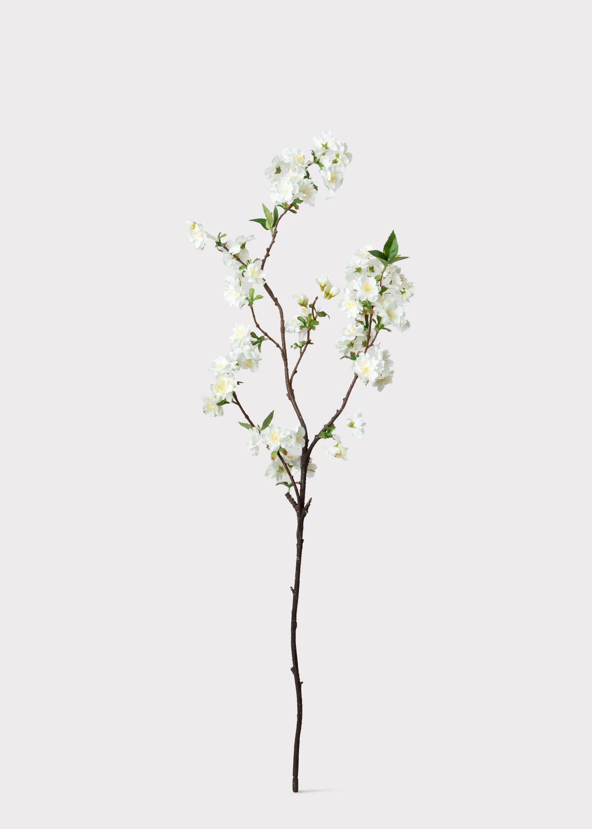 Cream White Artificial Cherry Blossom Branch - 36