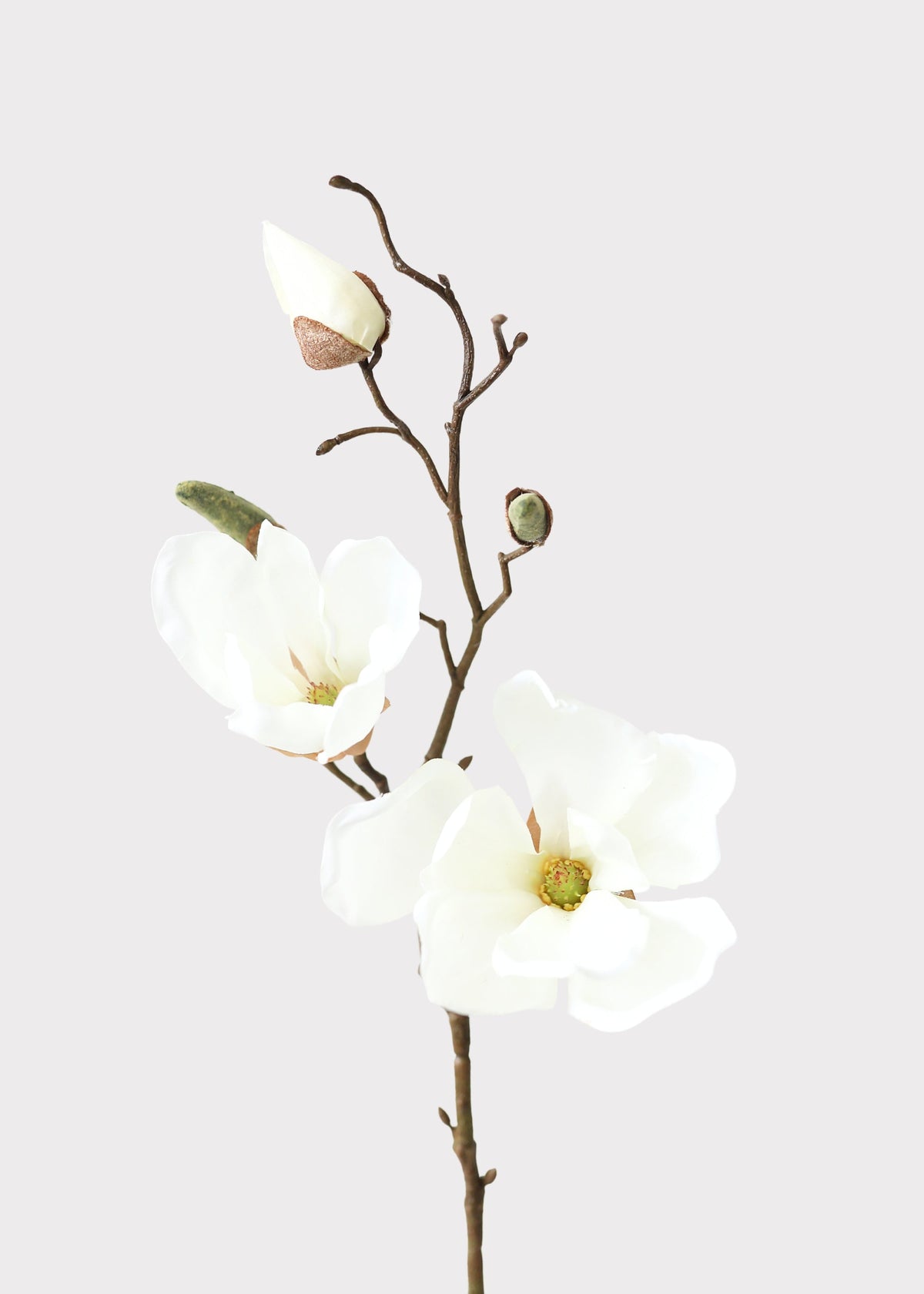 Cream Artificial Magnolia Flower Stem - 19