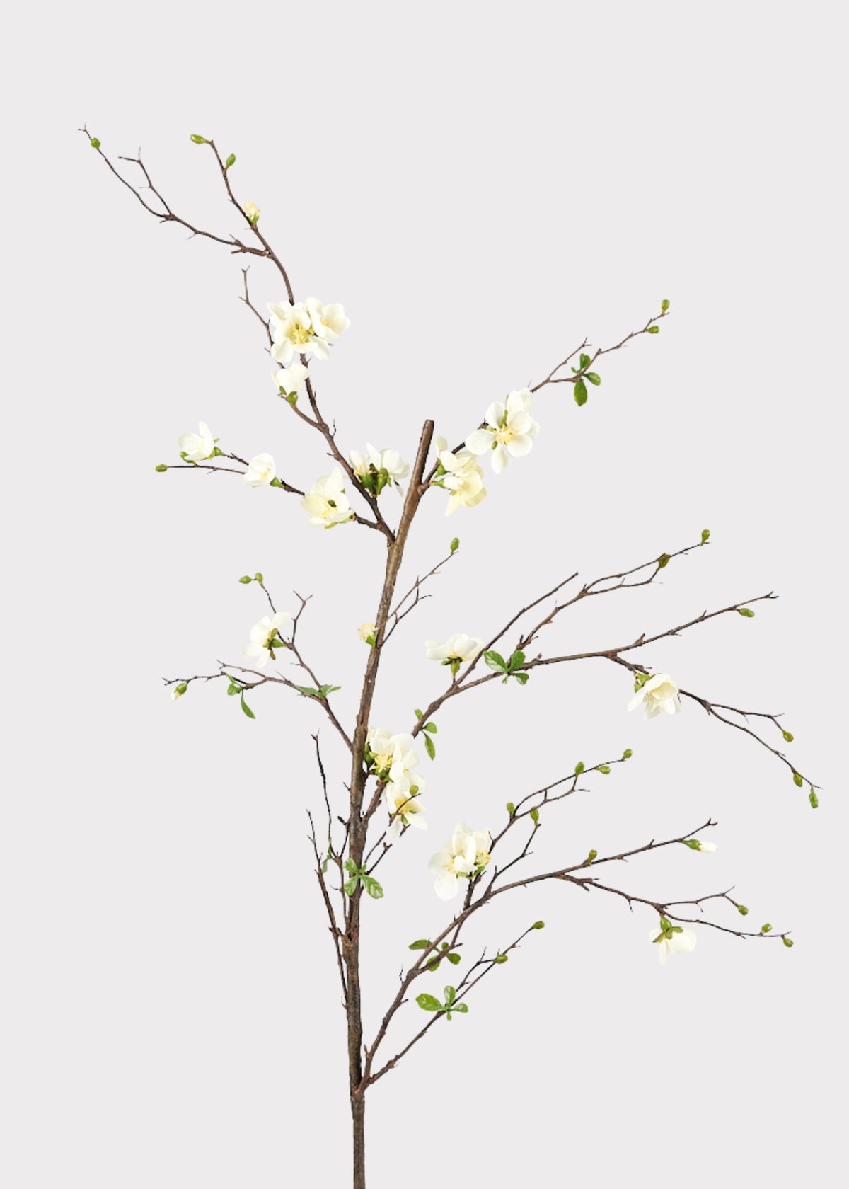 Premium Artificial Flowers  - Cream Artificial Blossom Branch - 57